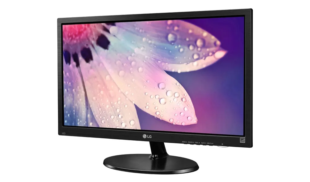 LG 19M38HB-B 18.5" HD LED Monitor (HDMI) – image 2